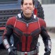 Antman (Paul Rudd) Red and Black Jacket