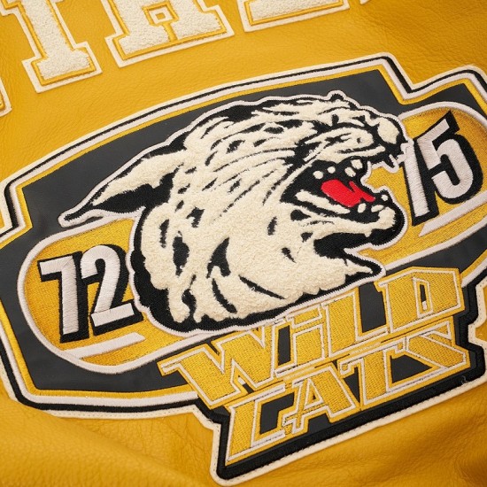Wildcat Champion Avirex Varsity Jacket Wildcat Champion Avirex Varsity Jacket