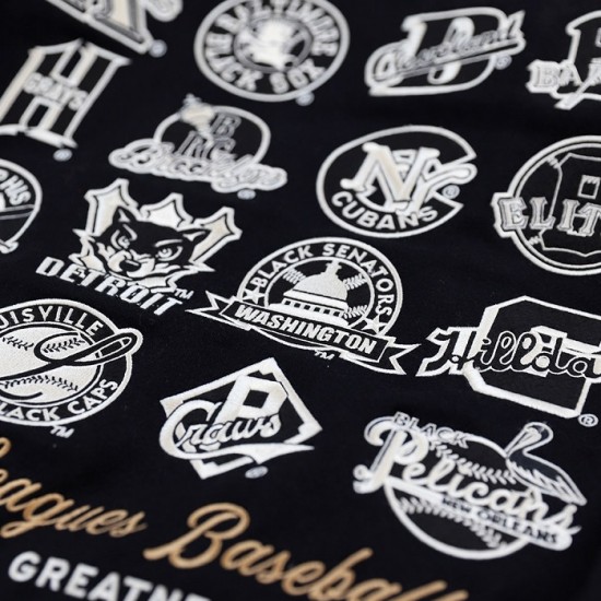 Big Boy Negro League Baseball S9 Mens Varsity Wool Jacket