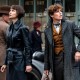 Fantastic Beasts : The Crimes Of Grindelwald Tina Goldstein Black Leather Coat Fantastic Beasts : The Crimes Of Grindelwald Tina Goldstein Black Leather Coat