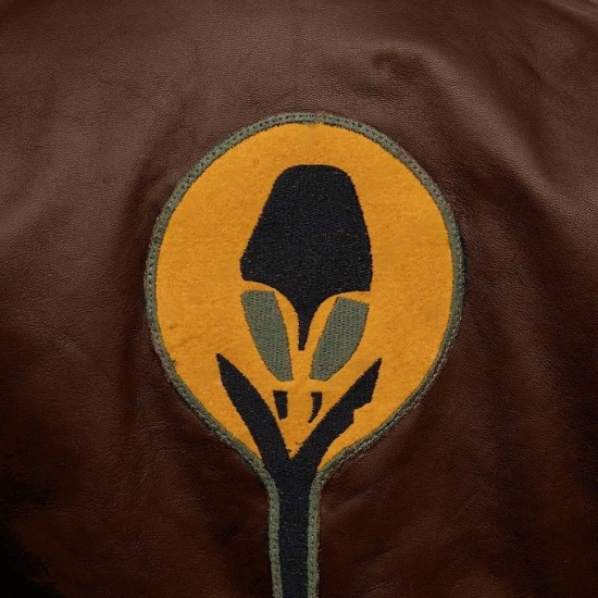 Mary Elizabeth Winstead Ahsoka Hera Syndulla Brown Leather Jacket